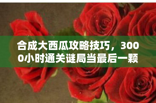 合成大西瓜攻略技巧，3000小时通关谜局当最后一颗西瓜炸裂时，服务器灯灭了