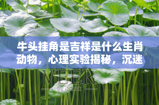 牛头挂角是吉祥是什么生肖动物，心理实验揭秘，沉迷牛头挂角生肖游戏，细思极恐的多巴胺陷阱