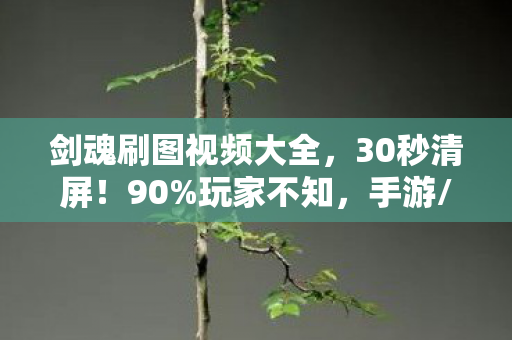 剑魂刷图视频大全，30秒清屏！90%玩家不知，手游/端游/主机剑魂刷图竟差这么多