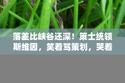 落差比峡谷还深！策士统领斯维因，笑着骂策划，哭着充首充的真相
