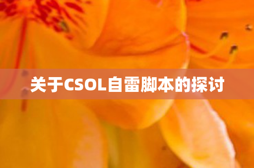 关于CSOL自雷脚本的探讨图片