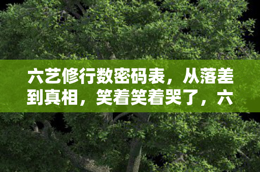 六艺修行数密码表,从落差到真相,笑着笑着哭了,六艺修行数的真香陷阱 六艺修行数密码表,从落差到真相,笑着笑着哭了,六艺修行数的真香陷阱