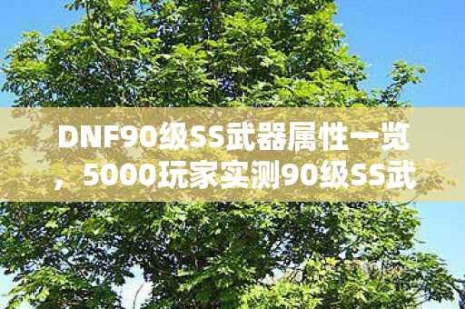 DNF90级SS武器属性一览,5000玩家实测90级SS武器疑点大起底!策划这波操作真绷不住了 DNF90级SS武器属性一览,5000玩家实测90级SS武器疑点大起底!策划这波操作真绷不住了