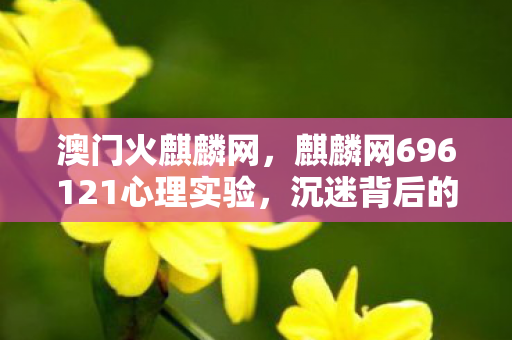 澳门火麒麟网,麒麟网696121心理实验,沉迷背后的细思极恐自我麻醉真相 澳门火麒麟网,麒麟网696121心理实验,沉迷背后的细思极恐自我麻醉真相