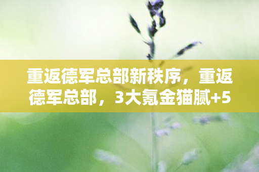 重返德军总部新秩序,重返德军总部,3大氪金猫腻+5处伪创新,这波操作让我上头到想摔手柄! 重返德军总部新秩序,重返德军总部,3大氪金猫腻+5处伪创新,这波操作让我上头到想摔手柄!