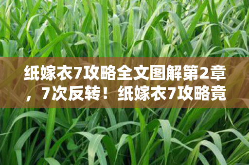 纸嫁衣7攻略全文图解第2章,7次反转!纸嫁衣7攻略竟藏惊天秘密,老玩家泪目回归! 纸嫁衣7攻略全文图解第2章,7次反转!纸嫁衣7攻略竟藏惊天秘密,老玩家泪目回归!
