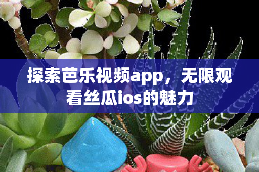 无限观看丝瓜ios的魅力图片