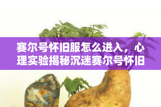 赛尔号怀旧服怎么进入,心理实验揭秘沉迷赛尔号怀旧服,多巴胺陷阱下的细思极恐 赛尔号怀旧服怎么进入,心理实验揭秘沉迷赛尔号怀旧服,多巴胺陷阱下的细思极恐