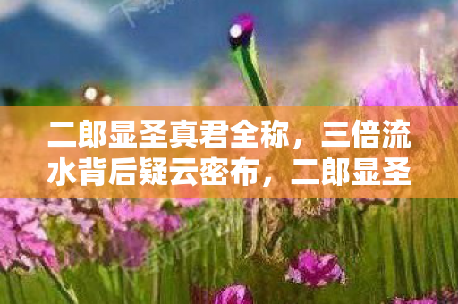 二郎显圣真君全称,三倍流水背后疑云密布,二郎显圣真君IP为何让玩家集体心寒? 二郎显圣真君全称,三倍流水背后疑云密布,二郎显圣真君IP为何让玩家集体心寒?