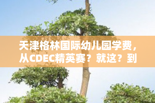 天津格林国际幼儿园学费,从CDEC精英赛?就这?到笑着哭,真相是落差里藏着回不去的自己 天津格林国际幼儿园学费,从CDEC精英赛?就这?到笑着哭,真相是落差里藏着回不去的自己