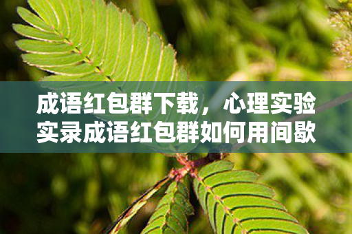 成语红包群下载,心理实验实录成语红包群如何用间歇性奖励让你沉迷?细思极恐的多巴胺陷阱 成语红包群下载,心理实验实录成语红包群如何用间歇性奖励让你沉迷?细思极恐的多巴胺陷阱
