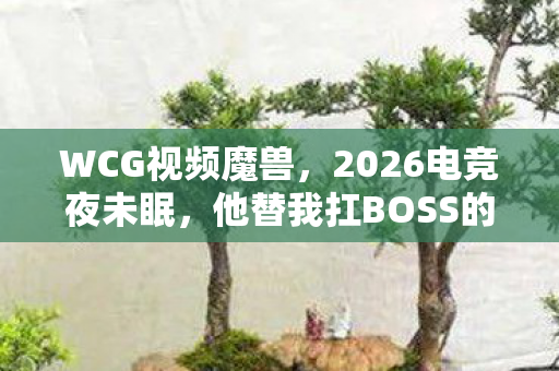 WCG视频魔兽,2026电竞夜未眠,他替我扛BOSS的背影,为何让鼻子一酸到如今? WCG视频魔兽,2026电竞夜未眠,他替我扛BOSS的背影,为何让鼻子一酸到如今?