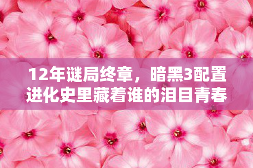 12年谜局终章,暗黑3配置进化史里藏着谁的泪目青春? 12年谜局终章,暗黑3配置进化史里藏着谁的泪目青春?