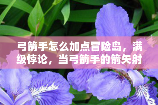 弓箭手怎么加点冒险岛,满级悖论,当弓箭手的箭矢射穿现实,我的人生却卡在0级加载界面 弓箭手怎么加点冒险岛,满级悖论,当弓箭手的箭矢射穿现实,我的人生却卡在0级加载界面