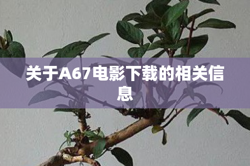 关于A67电影下载的相关信息图片