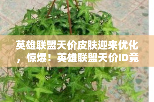 英雄联盟天价皮肤迎来优化,惊爆!英雄联盟天价ID竟花88万,背后隐情让人吓一跳! 英雄联盟天价皮肤迎来优化,惊爆!英雄联盟天价ID竟花88万,背后隐情让人吓一跳!