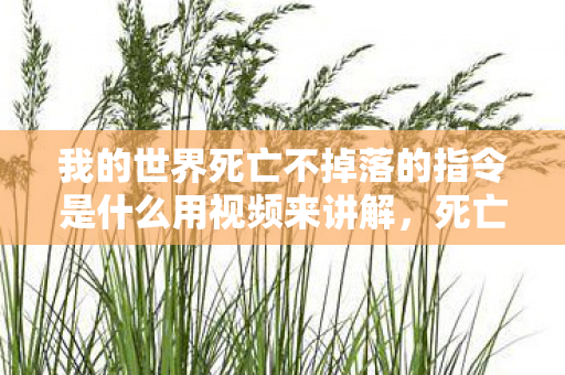 我的世界死亡不掉落的指令是什么用视频来讲解,死亡不掉落指令暗藏玄机?我的世界悬案,血色代码的自我献祭 我的世界死亡不掉落的指令是什么用视频来讲解,死亡不掉落指令暗藏玄机?我的世界悬案,血色代码的自我献祭