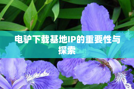 电驴下载基地IP的重要性与探索图片