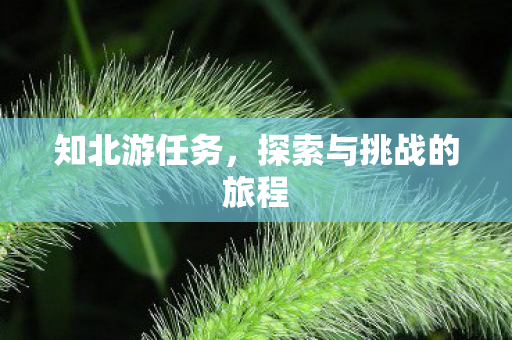 探索与挑战的旅程图片