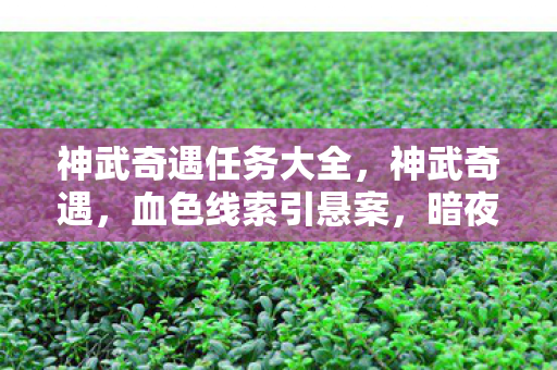 神武奇遇任务大全,神武奇遇,血色线索引悬案,暗夜密室藏毛骨悚然真相 神武奇遇任务大全,神武奇遇,血色线索引悬案,暗夜密室藏毛骨悚然真相