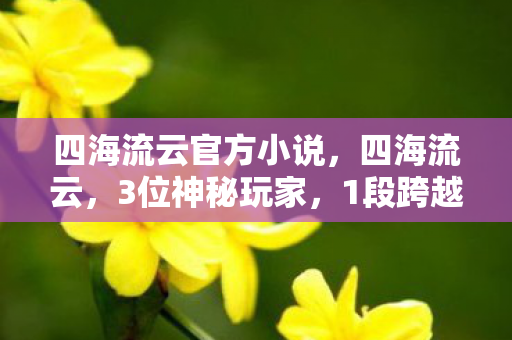 四海流云官方小说,四海流云,3位神秘玩家,1段跨越平台的心酸游戏之旅 四海流云官方小说,四海流云,3位神秘玩家,1段跨越平台的心酸游戏之旅