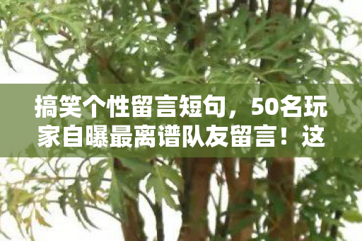 搞笑个性留言短句,50名玩家自曝最离谱队友留言!这操作是真人还是AI?记者当场绷不住 搞笑个性留言短句,50名玩家自曝最离谱队友留言!这操作是真人还是AI?记者当场绷不住