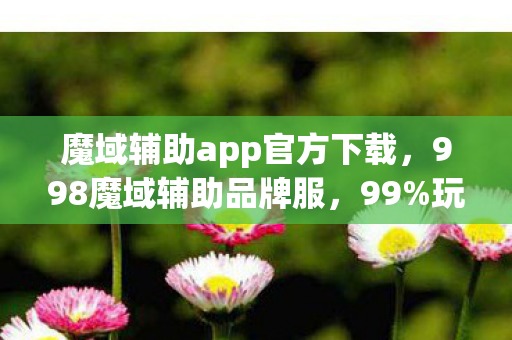 魔域辅助app官方下载,998魔域辅助品牌服,99%玩家不知的隐藏机制,一夜逆袭成神? 魔域辅助app官方下载,998魔域辅助品牌服,99%玩家不知的隐藏机制,一夜逆袭成神?