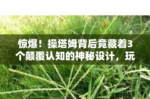 惊爆!操塔姆背后竟藏着3个颠覆认知的神秘设计,玩家集体破防! 惊爆!操塔姆背后竟藏着3个颠覆认知的神秘设计,玩家集体破防!