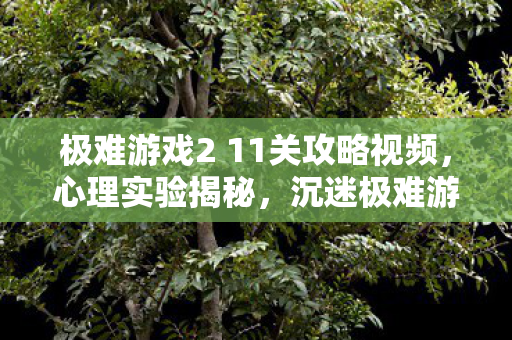 极难游戏2 11关攻略视频，心理实验揭秘，沉迷极难游戏2第11关，细思极恐的多巴胺陷阱
