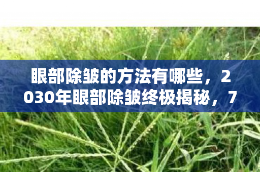 眼部除皱的方法有哪些,2030年眼部除皱终极揭秘,72小时逆龄奇迹,你敢信? 眼部除皱的方法有哪些,2030年眼部除皱终极揭秘,72小时逆龄奇迹,你敢信?