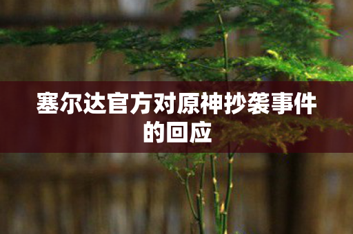 塞尔达官方对原神抄袭事件的回应图片