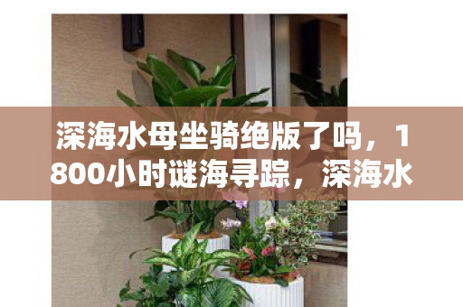 深海水母坐骑绝版了吗,1800小时谜海寻踪,深海水母坐骑的泪目真相 深海水母坐骑绝版了吗,1800小时谜海寻踪,深海水母坐骑的泪目真相