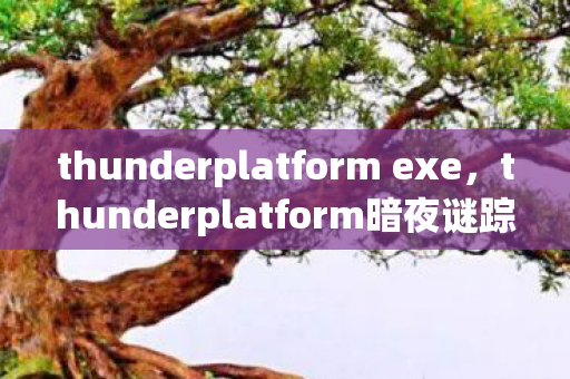 thunderplatform exe,thunderplatform暗夜谜踪,线索交织的悬案,毛骨悚然终局 thunderplatform exe,thunderplatform暗夜谜踪,线索交织的悬案,毛骨悚然终局