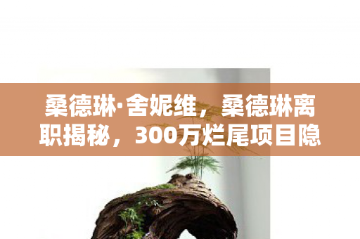 桑德琳·舍妮维,桑德琳离职揭秘,300万烂尾项目隐情曝光,真相让人吓一跳! 桑德琳·舍妮维,桑德琳离职揭秘,300万烂尾项目隐情曝光,真相让人吓一跳!