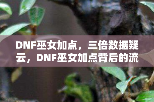 DNF巫女加点,三倍数据疑云,DNF巫女加点背后的流量操控,玩家心寒真相 DNF巫女加点,三倍数据疑云,DNF巫女加点背后的流量操控,玩家心寒真相