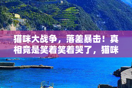 猫咪大战争,落差暴击!真相竟是笑着笑着哭了,猫咪大战里我们都是小丑 猫咪大战争,落差暴击!真相竟是笑着笑着哭了,猫咪大战里我们都是小丑