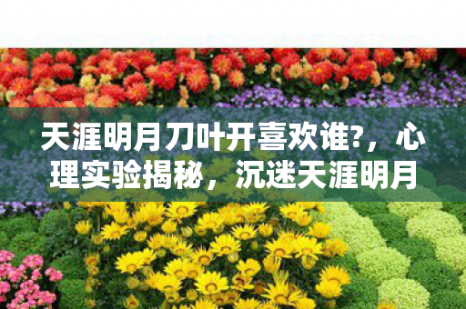 天涯明月刀叶开喜欢谁?,心理实验揭秘,沉迷天涯明月刀叶开之恋,细思极恐的多巴胺陷阱 天涯明月刀叶开喜欢谁?,心理实验揭秘,沉迷天涯明月刀叶开之恋,细思极恐的多巴胺陷阱