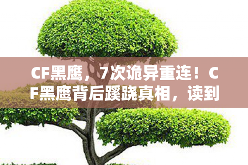 CF黑鹰,7次诡异重连!CF黑鹰背后蹊跷真相,读到后背发凉 CF黑鹰,7次诡异重连!CF黑鹰背后蹊跷真相,读到后背发凉