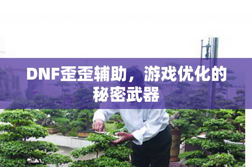 游戏优化的秘密武器图片