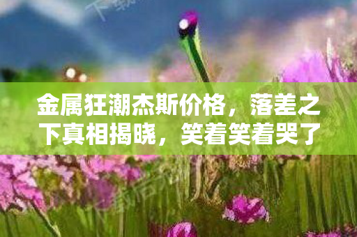 金属狂潮杰斯价格,落差之下真相揭晓,笑着笑着哭了,金属狂潮杰斯竟成情怀陷阱? 金属狂潮杰斯价格,落差之下真相揭晓,笑着笑着哭了,金属狂潮杰斯竟成情怀陷阱?