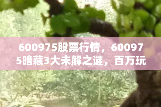 600975股票行情,600975暗藏3大未解之谜,百万玩家十年追寻的真相竟是…… 600975股票行情,600975暗藏3大未解之谜,百万玩家十年追寻的真相竟是……