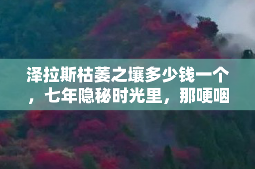 泽拉斯枯萎之壤多少钱一个,七年隐秘时光里,那哽咽的300分钟,枯萎之壤曾照亮我的夜 泽拉斯枯萎之壤多少钱一个,七年隐秘时光里,那哽咽的300分钟,枯萎之壤曾照亮我的夜