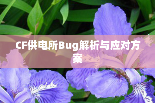 CF供电所Bug解析与应对方案图片