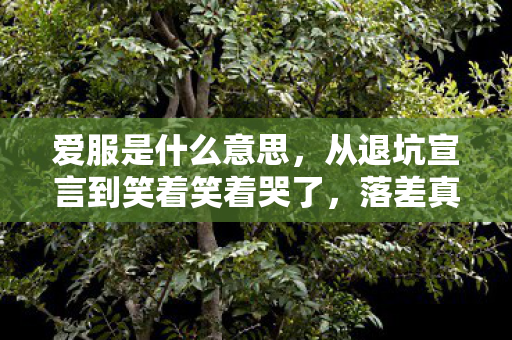 爱服是什么意思,从退坑宣言到笑着笑着哭了,落差真相里藏着成年人的自欺欺人 爱服是什么意思,从退坑宣言到笑着笑着哭了,落差真相里藏着成年人的自欺欺人