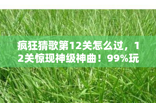 疯狂猜歌第12关怎么过,12关惊现神级神曲!99%玩家卡关崩溃,你能1秒破局吗? 疯狂猜歌第12关怎么过,12关惊现神级神曲!99%玩家卡关崩溃,你能1秒破局吗?
