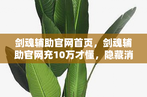 剑魂辅助官网首页，剑魂辅助官网充10万才懂，隐藏消费坑我3年，钱包被掏空吓一跳！