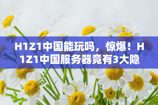 H1Z1中国能玩吗，惊爆！H1Z1中国服务器竟有3大隐藏入口？真相让人心跳加速！