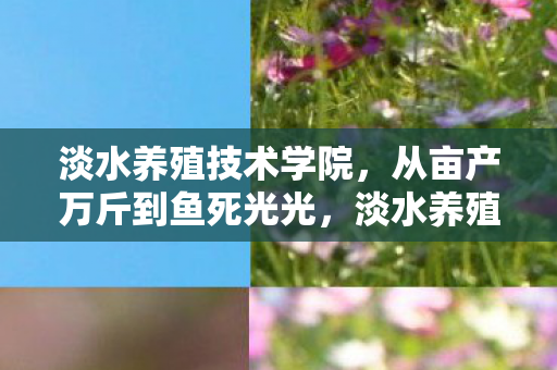 淡水养殖技术学院，从亩产万斤到鱼死光光，淡水养殖的落差真相，笑着笑着就哭了