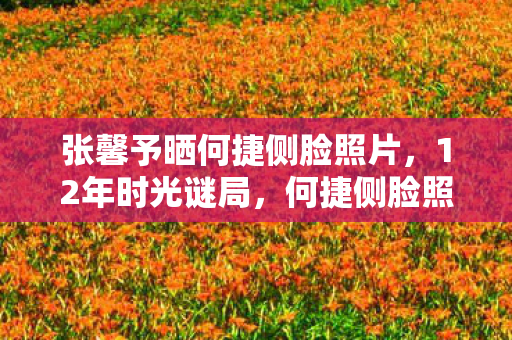 张馨予晒何捷侧脸照片，12年时光谜局，何捷侧脸照背后的游戏史诗，泪目终章