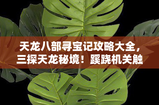 天龙八部寻宝记攻略大全，三探天龙秘境！蹊跷机关触发后背发凉，真相竟比鬼还邪门